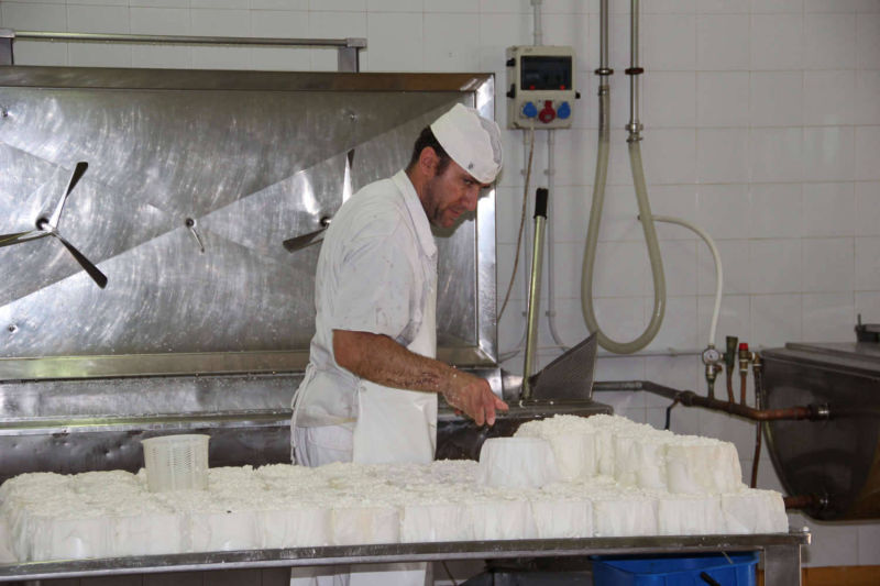 Quesos de cabra y piensos para cabras de Ganaderos de Caprino