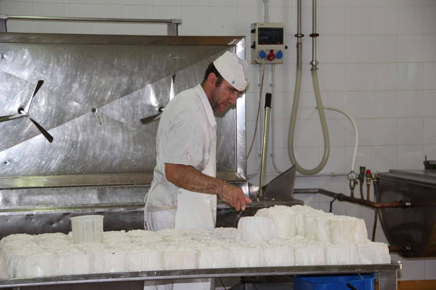 Quesos de cabra y piensos para cabras de Ganaderos de Caprino