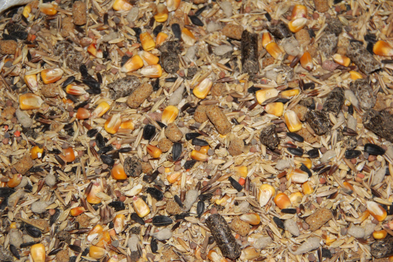 Pienso ganado caprino, piensos para cabras, alimentación ganaderos de caprino. Fábrica y distribución de piensos para ganaderías de cabras