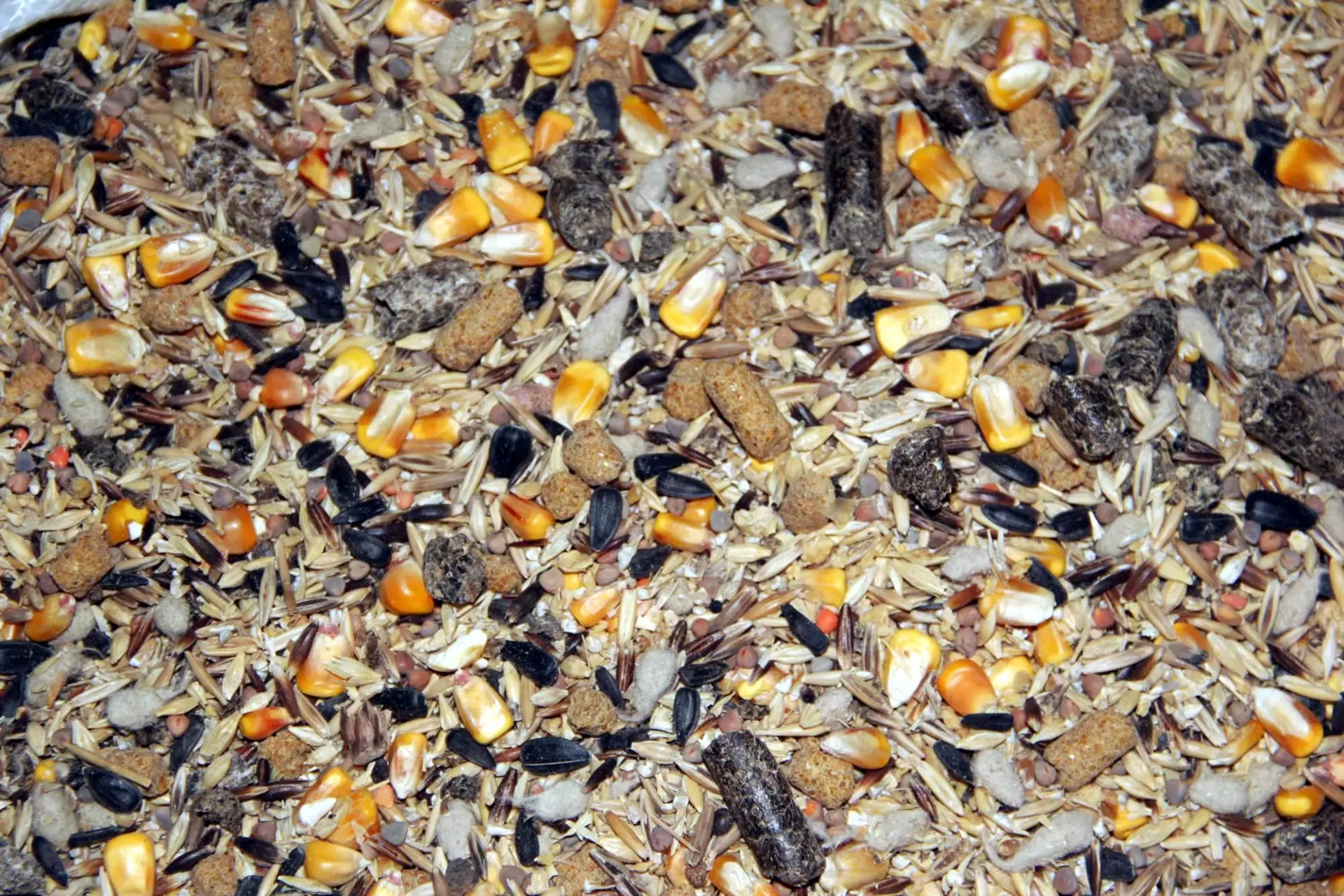 Fábrica y distribución de piensos para ganado caprino