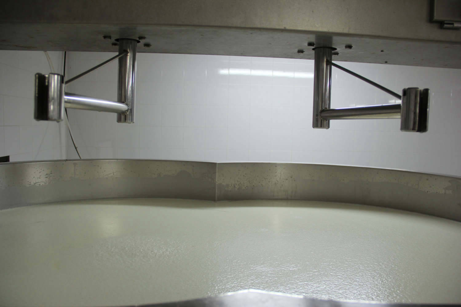 Quesos de cabra y piensos para cabras de Ganaderos de Caprino