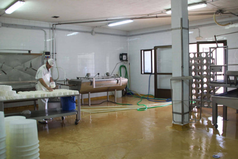 Quesos de cabra y piensos para cabras de Ganaderos de Caprino