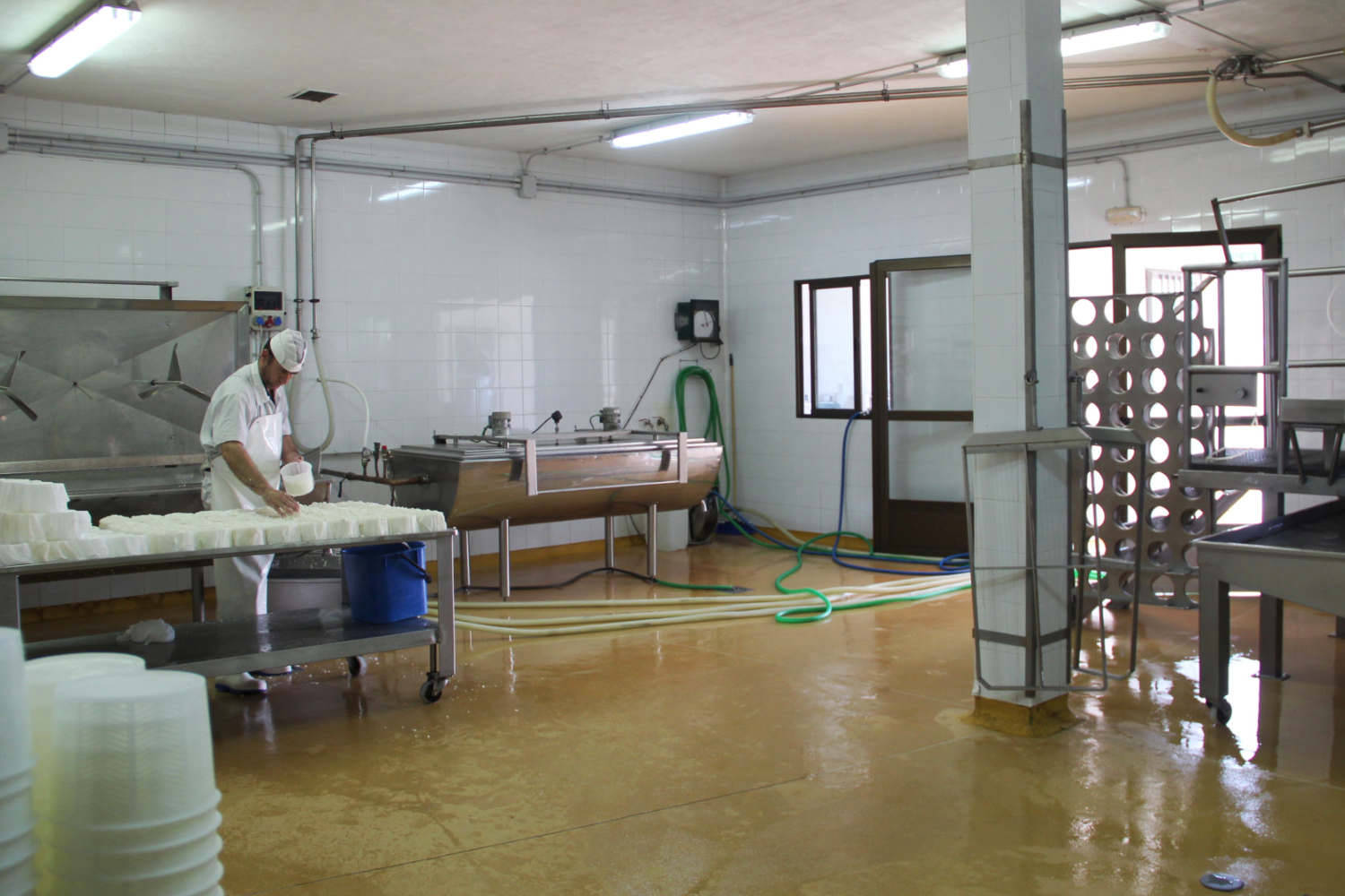 Quesos de cabra y piensos para cabras de Ganaderos de Caprino