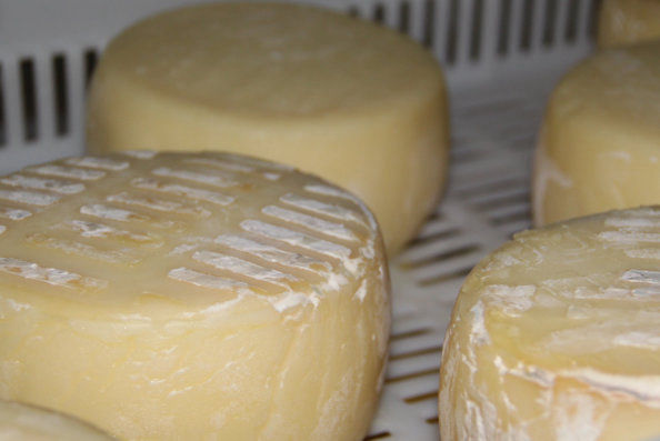 Quesos de cabra curados