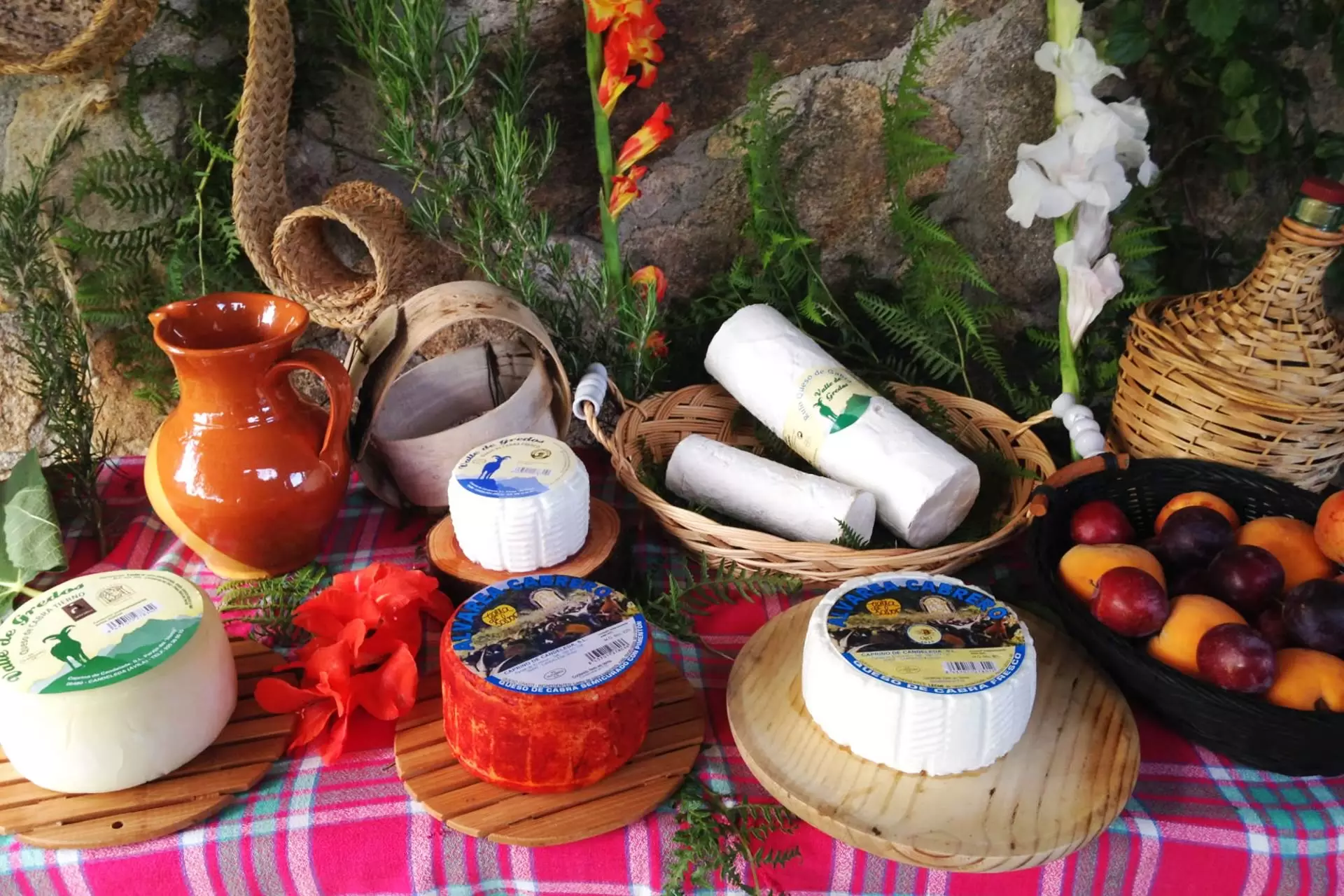 Quesos de cabra artesanos, leche y queso puro de cabra