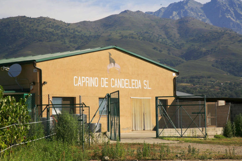 Quesos de cabra y piensos para cabras de Ganaderos de Caprino